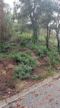 Terreno en calle Italia, 506