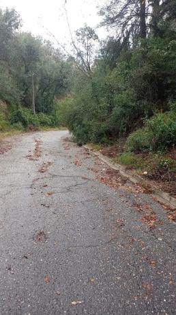 Terreno en calle Italia, 506