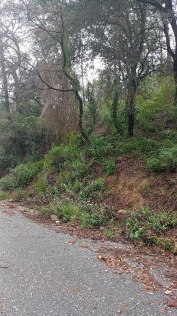 Terreno en calle Italia, 506