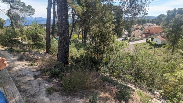 Terreno en calle Àngel Guimerà, 498
