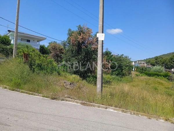 Terreno en Cabrera d'Anoia