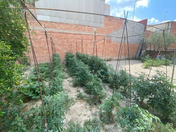 Terreno en Vilanova del Camí