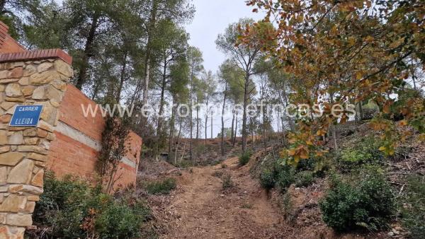 Terreno en calle Lleida