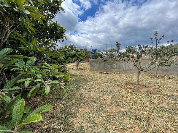Terreno en Cabrera d'Anoia