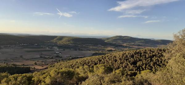 Terreno en calle Pujada de la Serra, 17