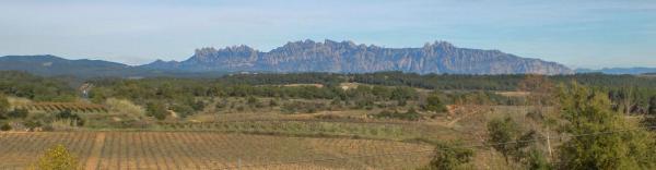 Terreno en calle Cadaqués