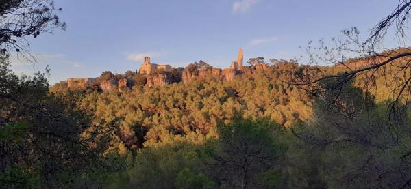 Terreno en calle Pujada de la Serra, 17