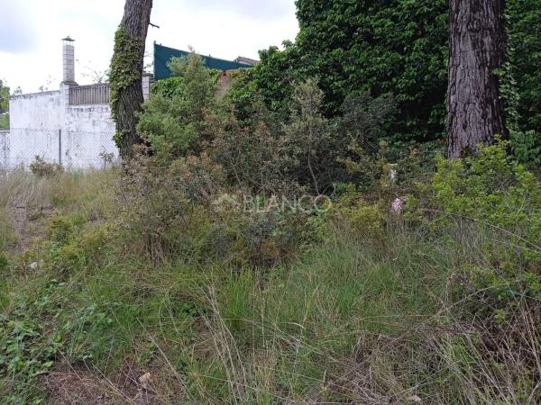 Terreno en La Torre de Claramunt