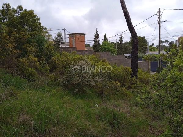 Terreno en La Torre de Claramunt