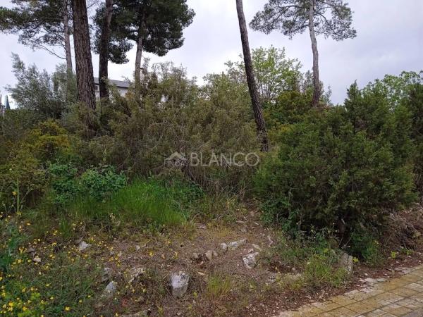 Terreno en La Torre de Claramunt