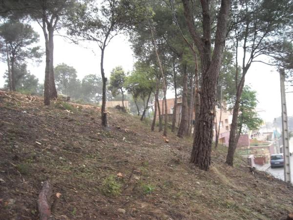 Terreno en Piera