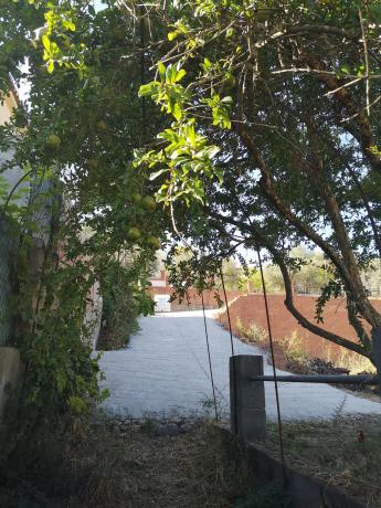 Terreno en calle Remeis, 22