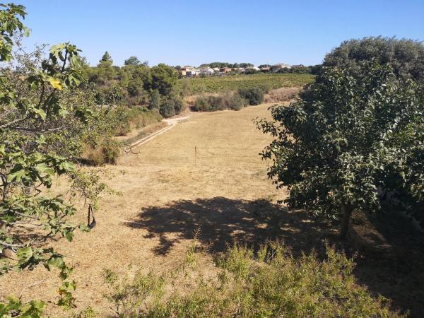 Terreno en calle Remeis, 22