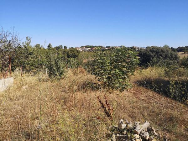 Terreno en calle Remeis, 22