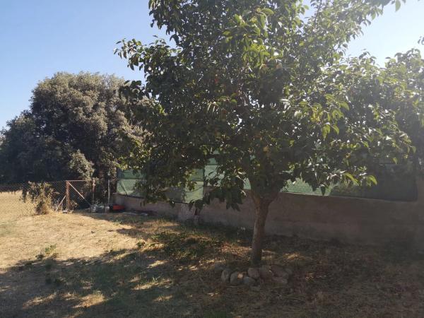 Terreno en calle Remeis, 22