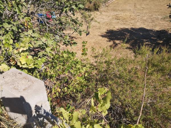 Terreno en calle Remeis, 22