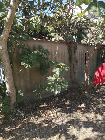 Terreno en calle Remeis, 22