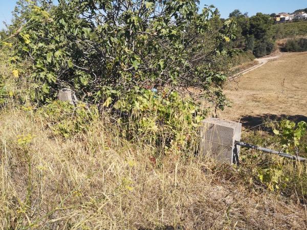 Terreno en calle Remeis, 22