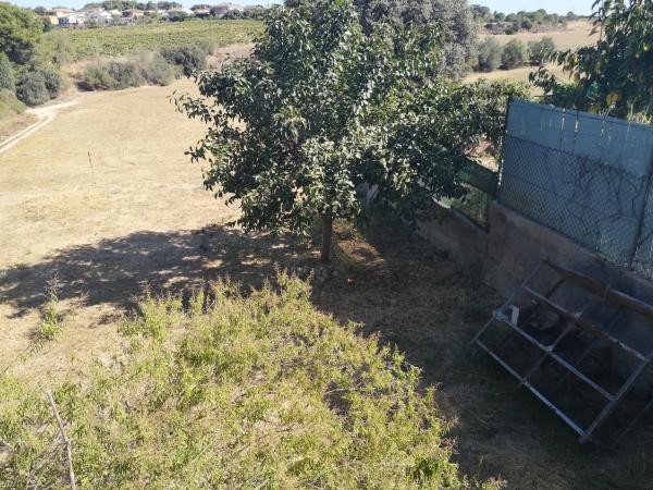 Terreno en calle Remeis, 22