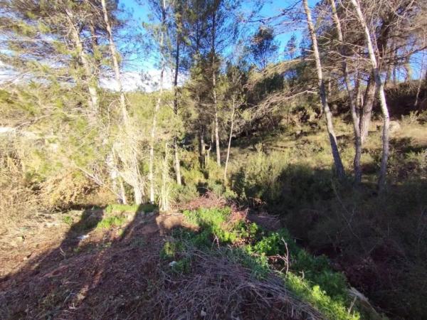 Terreno en La Pobla de Claramunt