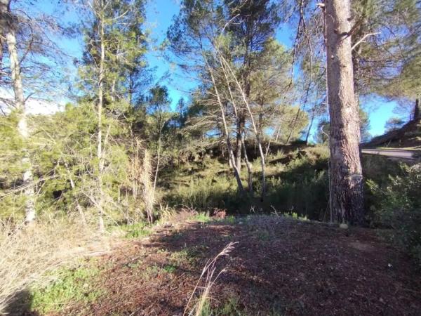 Terreno en La Pobla de Claramunt