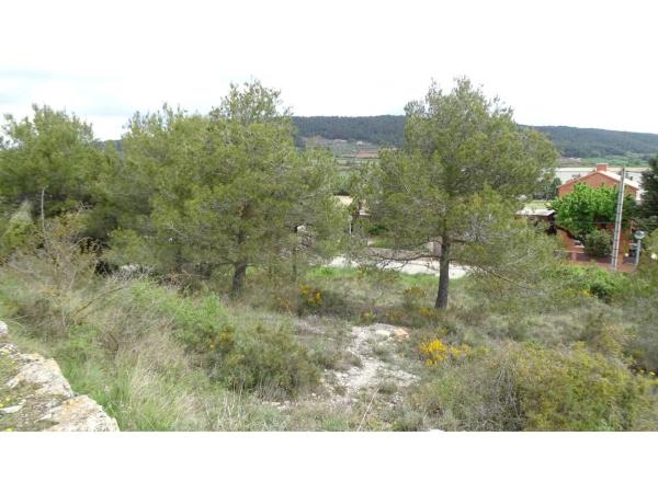 Terreno en calle del Noguer