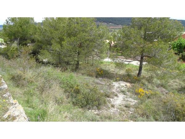 Terreno en calle del Noguer