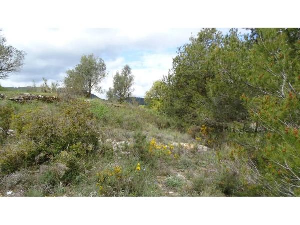 Terreno en calle del Noguer