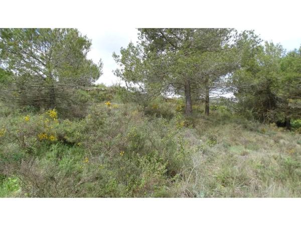 Terreno en calle del Noguer