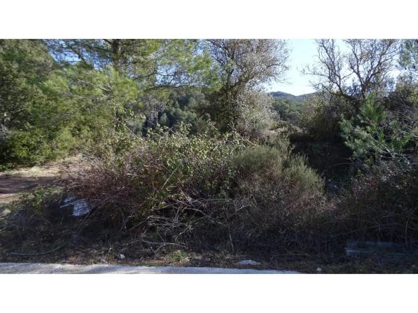 Terreno en La Llacuna