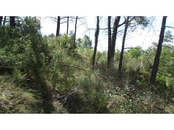 Terreno en La Llacuna