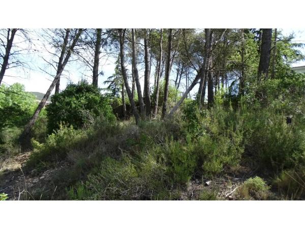 Terreno en La Llacuna