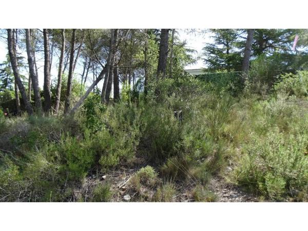 Terreno en La Llacuna