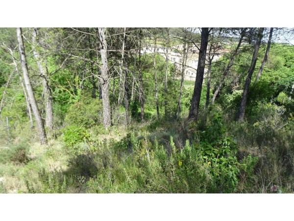 Terreno en La Llacuna