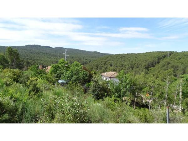 Terreno en La Llacuna