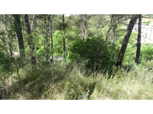 Terreno en La Llacuna