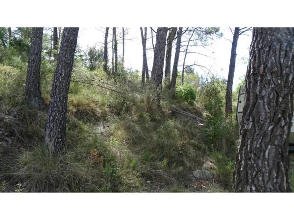 Terreno en La Llacuna