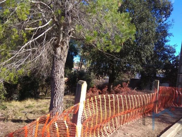 Terreno en calle de la Rosaleda