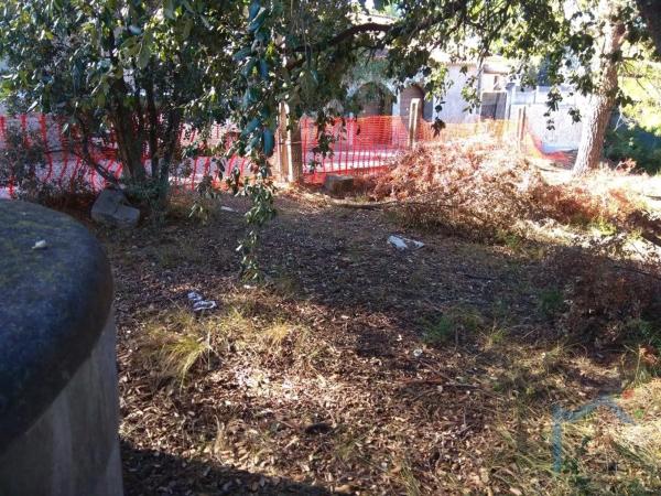 Terreno en calle de la Rosaleda