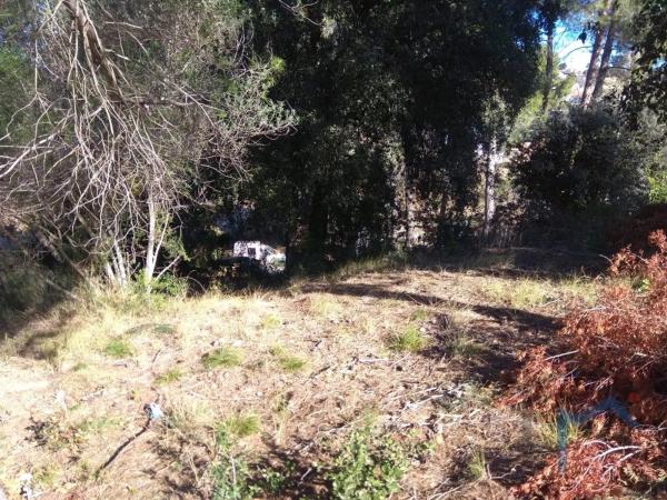 Terreno en calle de la Rosaleda