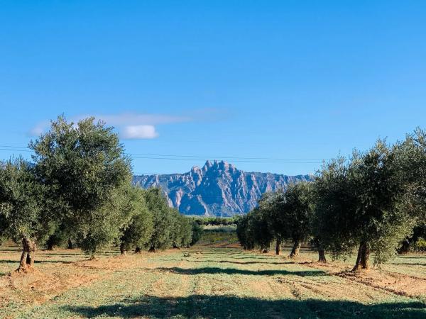 Terreno en avenida Aires de Montserrat, 30