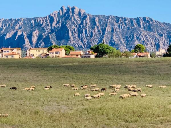 Terreno en avenida Aires de Montserrat, 30
