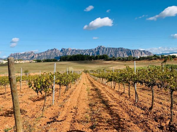 Terreno en avenida Aires de Montserrat, 30