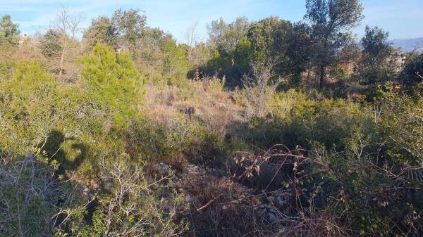 Terreno en La Torre de Claramunt