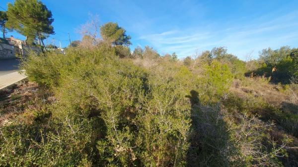 Terreno en La Torre de Claramunt