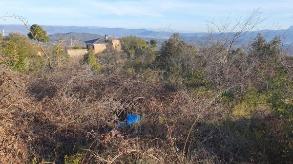 Terreno en La Torre de Claramunt
