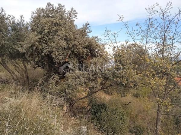 Terreno en La Torre de Claramunt