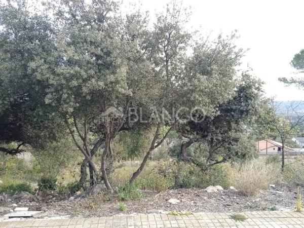 Terreno en La Torre de Claramunt