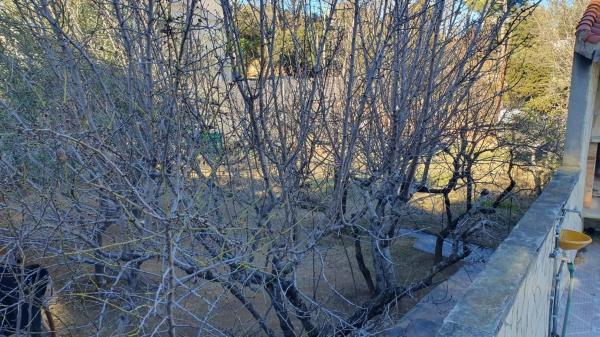 Terreno en La Torre de Claramunt