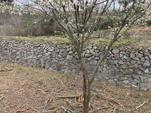 Terreno en Sant Joan Baptista, 10